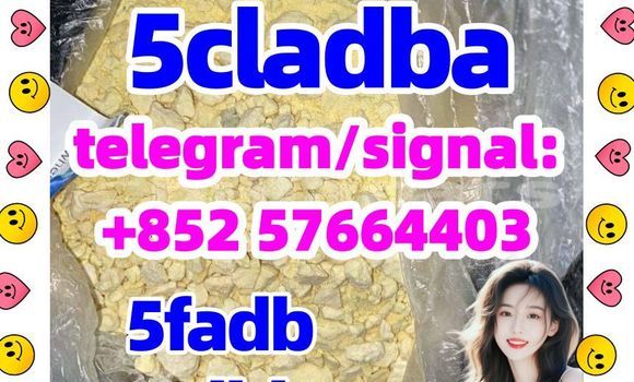 Medium with watermark 58