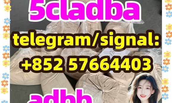Medium with watermark 59