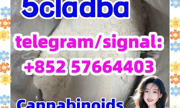 Medium with watermark 510