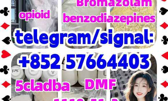 Medium with watermark z2