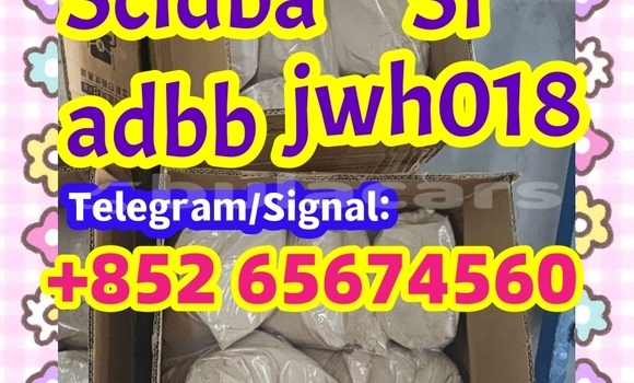Medium with watermark wetgwrgwegg