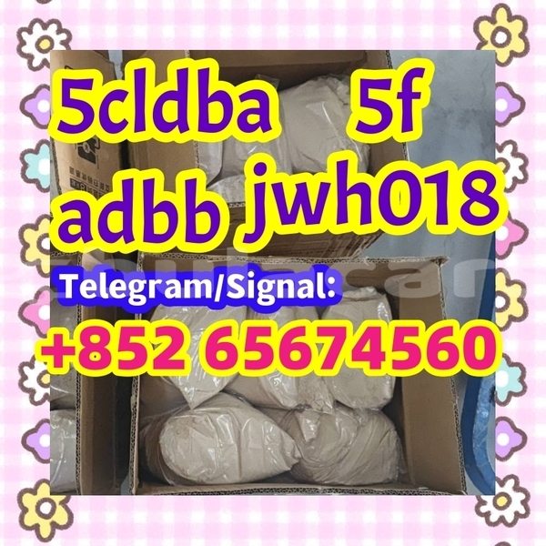 Big with watermark wetgwrgwegg