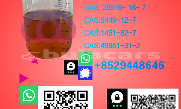 Medium with watermark %e5%89%af%e6%9c%ac 7.1