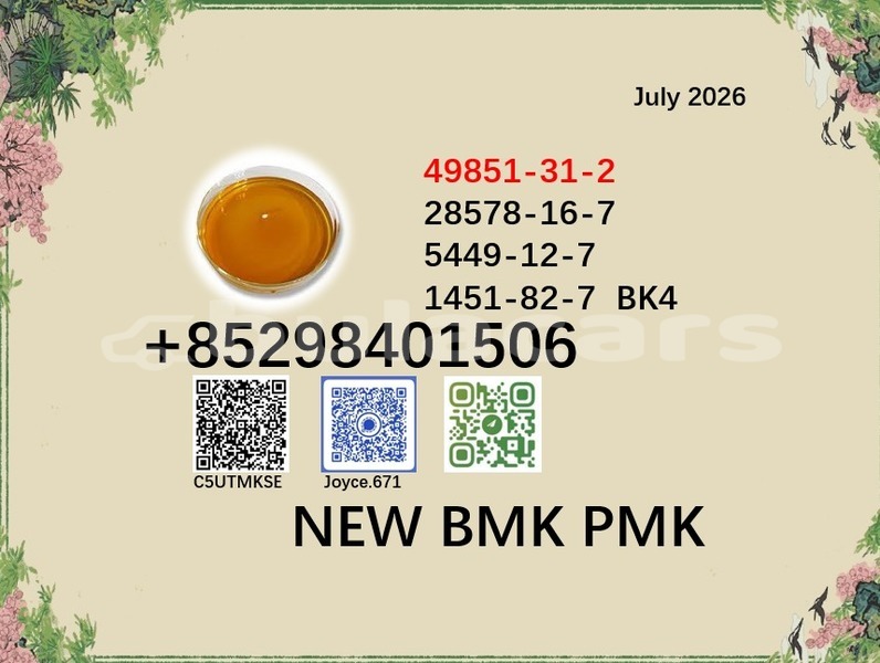Big with watermark 49851 83