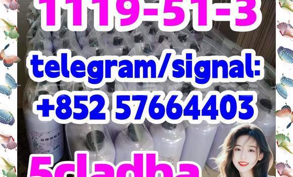 Medium with watermark 577
