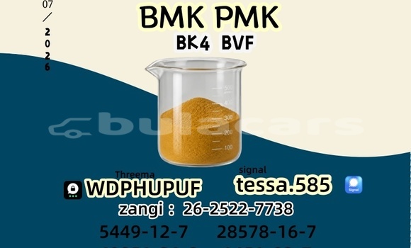 Medium with watermark 19