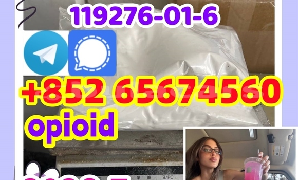 Medium with watermark photo 2026 07 01 15 49 27 %e5%89%af%e6%9c%ac