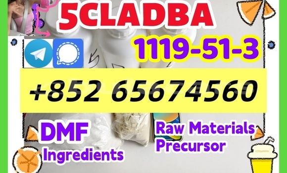 Acheter Protonitazene CAS à Import - Dubai, Central Acheter Protonitazene CAS à Import - Dubai, Central