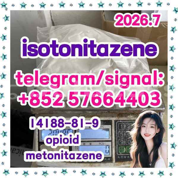 Big with watermark i22