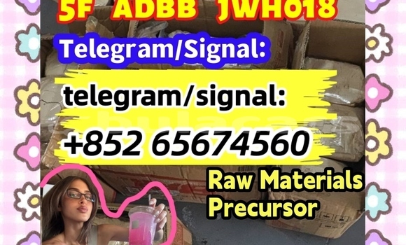 Medium with watermark photo 2026 03 04 10 21 26 %e5%89%af%e6%9c%ac %e5%89%af%e6%9c%ac