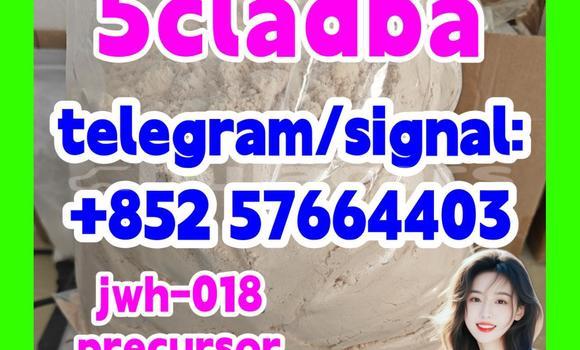 Medium with watermark 58