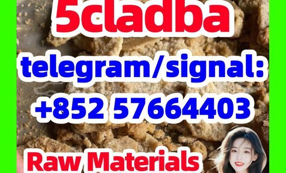 Medium with watermark 510