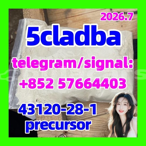Big with watermark 59