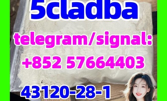 Medium with watermark 59