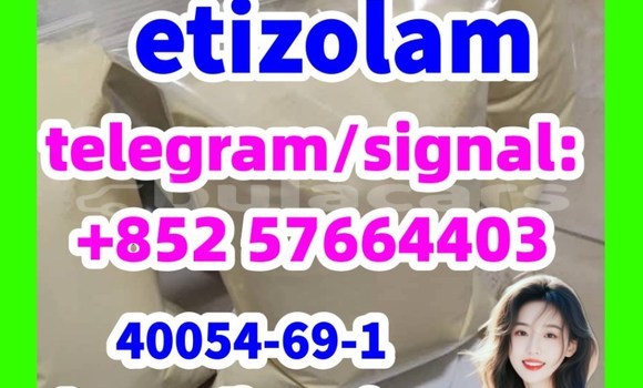 Medium with watermark e1