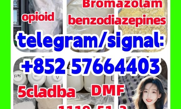 Medium with watermark z2