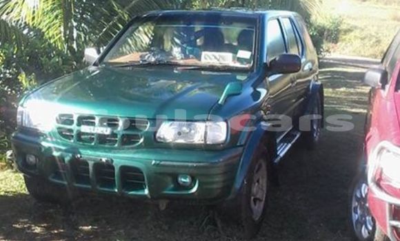 Buy Used Isuzu Wizard Green Car in Nadi in Western