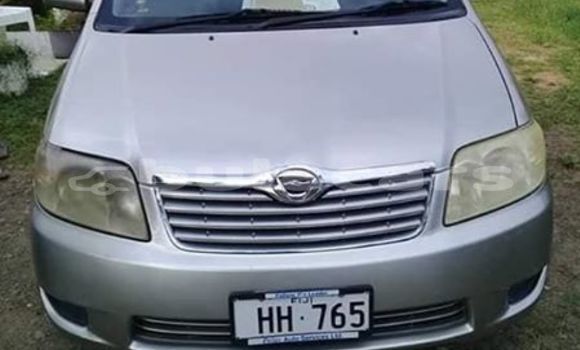 Acheter Occasion Voiture Toyota Corolla Gris à Sigatoka, Western Acheter Occasion Voiture Toyota Corolla Gris à Sigatoka, Western