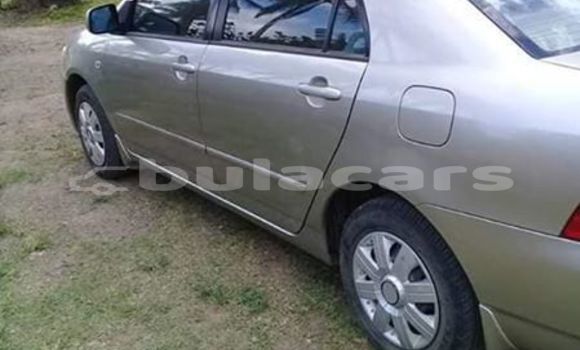 Acheter Occasion Voiture Toyota Corolla Gris à Sigatoka, Western Acheter Occasion Voiture Toyota Corolla Gris à Sigatoka, Western