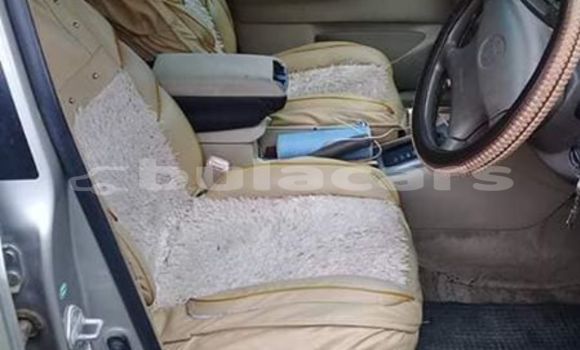 Acheter Occasion Voiture Toyota Corolla Gris à Sigatoka, Western Acheter Occasion Voiture Toyota Corolla Gris à Sigatoka, Western