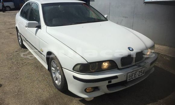 Buy Used BMW 5–Series Other Car in Korokade in Northern Buy Used BMW 5–Series Other Car in Korokade in Northern