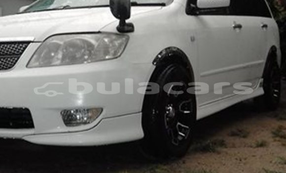 Acheter Occasion Voiture Toyota Fielder Blanc à Lautoka, Western Acheter Occasion Voiture Toyota Fielder Blanc à Lautoka, Western