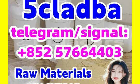 Medium with watermark 51
