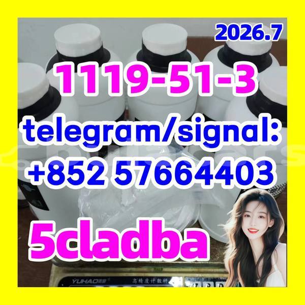 Big with watermark 56