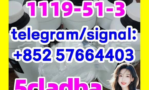 Medium with watermark 56
