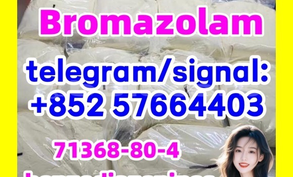 Medium with watermark b1