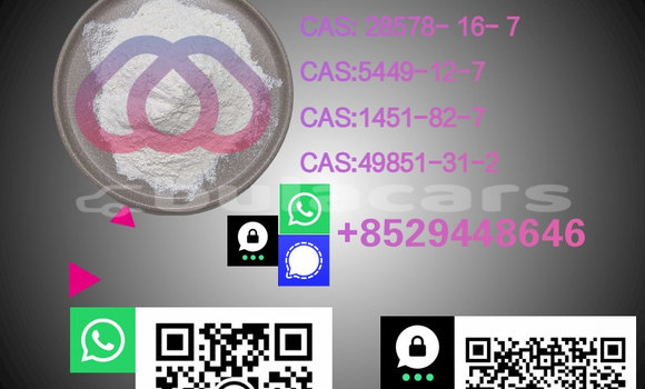 Medium with watermark %e5%89%af%e6%9c%ac %e6%b8%85%e6%96%b0%e9%a3%8e%e5%b9%bc%e7%8a%ac%e7%b2%ae%e4%bf%83%e9%94%80%e5%ae%9d%e8%b4%9d%e4%b8%bb%e5%9b%be 72 