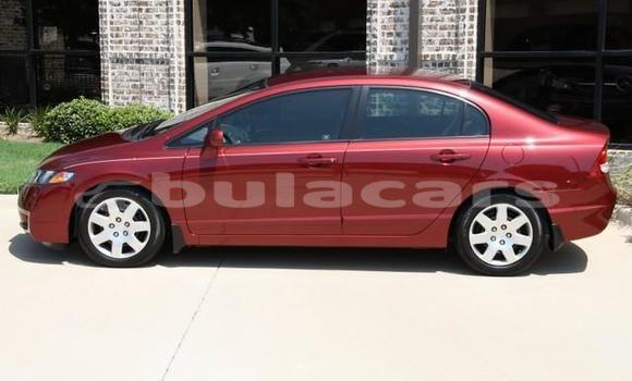 Buy New Honda Civic Red Car in Nabua in Northern Buy New Honda Civic Red Car in Nabua in Northern