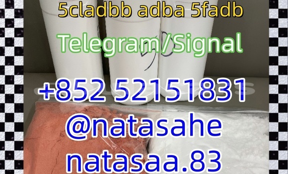 Buy 5cladba Yellow/white in Barotu in Western Buy 5cladba Yellow/white in Barotu in Western