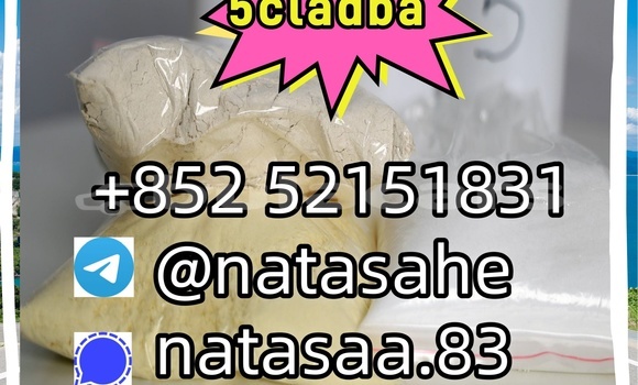 Medium with watermark 5 %e5%89%af%e6%9c%ac %e5%89%af%e6%9c%ac