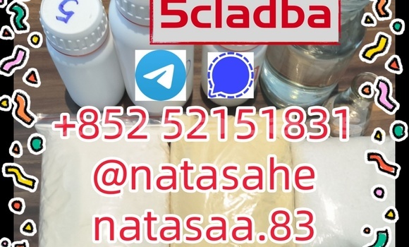 Buy 5cladba Yellow 5f in Import - Dubai in Central Buy 5cladba Yellow 5f in Import - Dubai in Central
