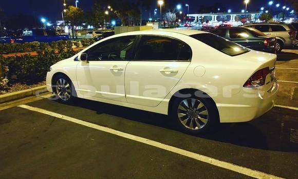 Acheter Neuf Voiture Honda Civic Blanc à Lautoka, Western Acheter Neuf Voiture Honda Civic Blanc à Lautoka, Western