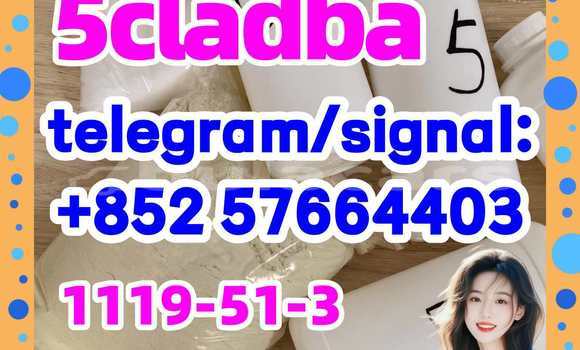 Medium with watermark 51