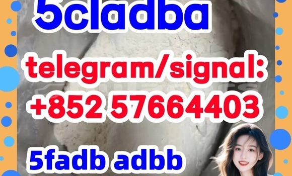 Medium with watermark 52