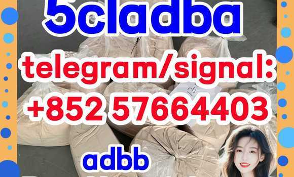 Medium with watermark 57