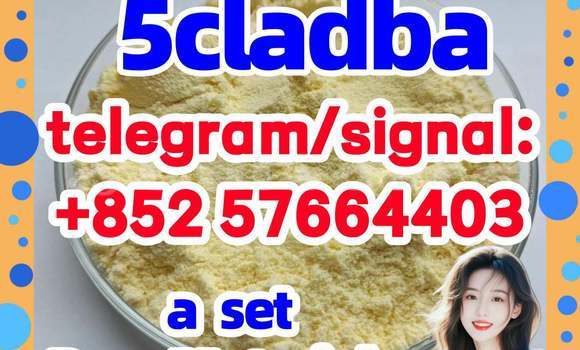 Medium with watermark 59