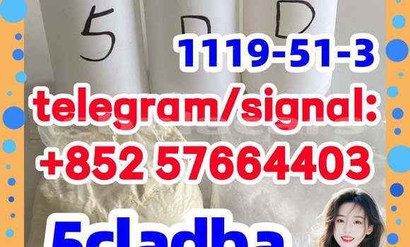 Medium with watermark 510