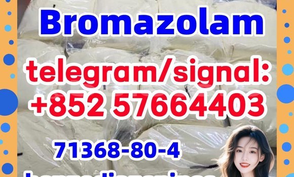 Medium with watermark b1