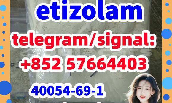 Medium with watermark e1