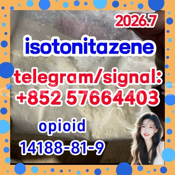 Big with watermark i2