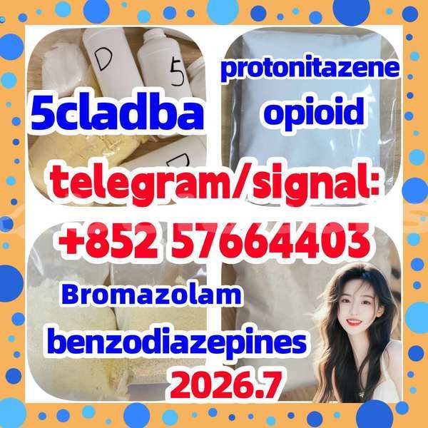Big with watermark z2