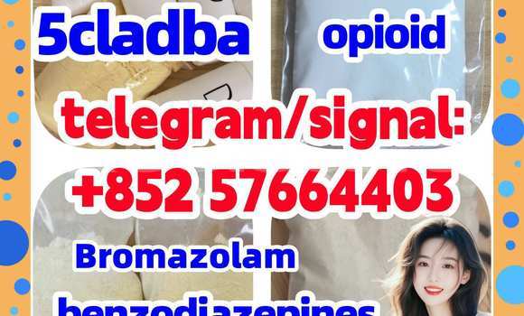 Medium with watermark z2