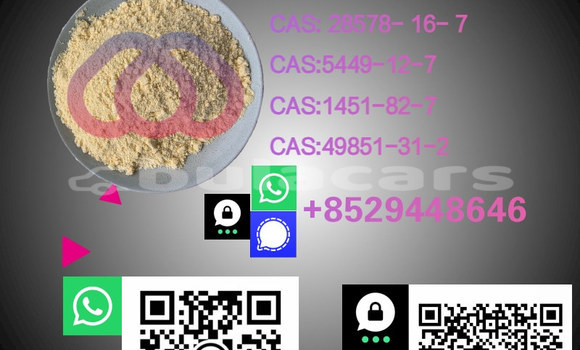 Medium with watermark %e5%89%af%e6%9c%ac %e6%b8%85%e6%96%b0%e9%a3%8e%e5%b9%bc%e7%8a%ac%e7%b2%ae%e4%bf%83%e9%94%80%e5%ae%9d%e8%b4%9d%e4%b8%bb%e5%9b%be 69
