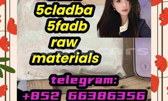 Medium with watermark 2
