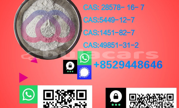 Medium with watermark %e5%89%af%e6%9c%ac 7.1 19 