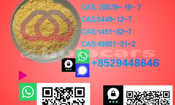 Medium with watermark %e5%89%af%e6%9c%ac 7.1 16